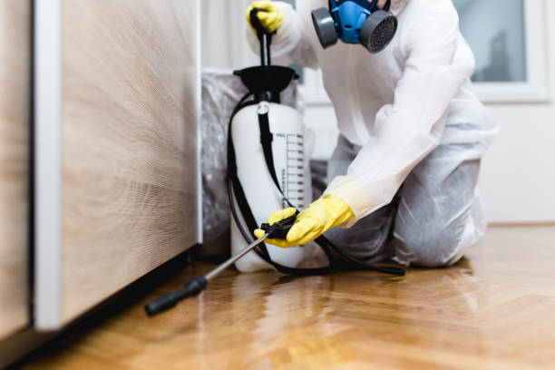 Best Termite Control Services  in Mexico, IN