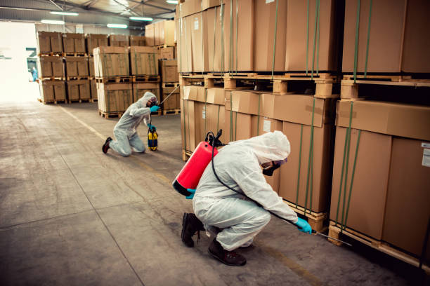 Best Mosquito Control Services  in Mexico, IN