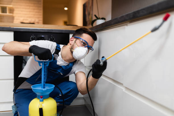 Best Pest Prevention Services  in Mexico, IN