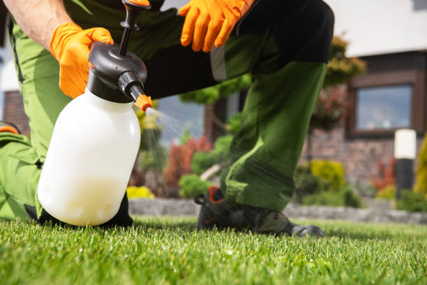 Professional Pest Control in Mexico, IN