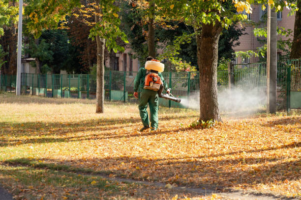 Best Bed Bug Extermination  in Mexico, IN