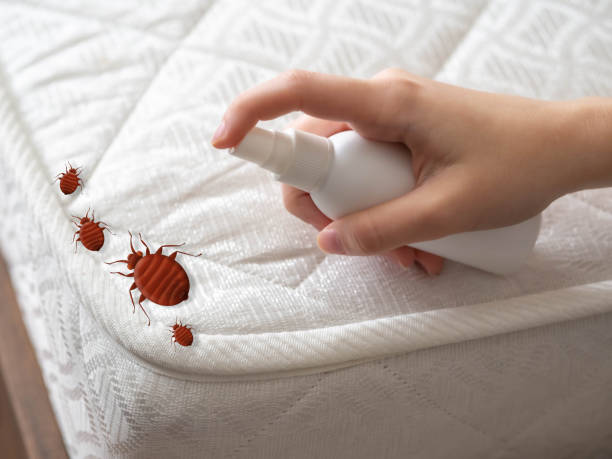 Best Pest Removal Services  in Mexico, IN