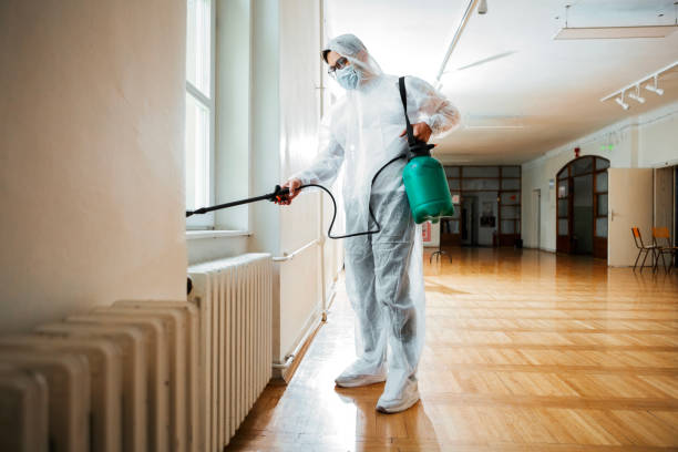 Best Emergency Pest Control  in Mexico, IN